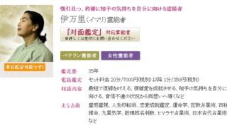 伊万里先生