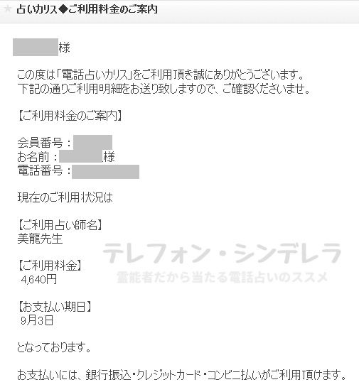 ビリア先生の明細